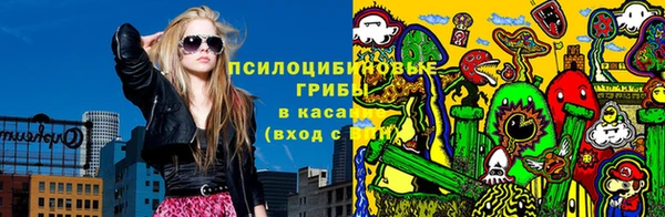 бошки Корсаков