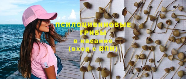 бошки Корсаков