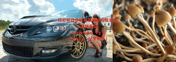 бошки Корсаков